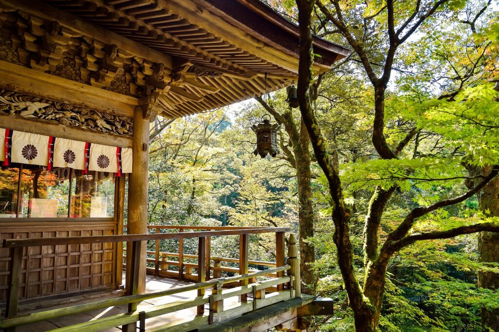 綺麗な写真